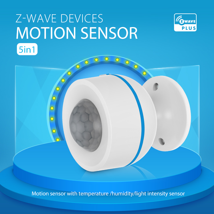 Motion_Detector_with722wss_1
