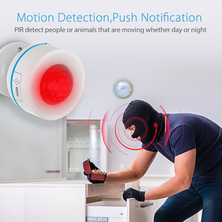 Motion_Detector_with722wss_4