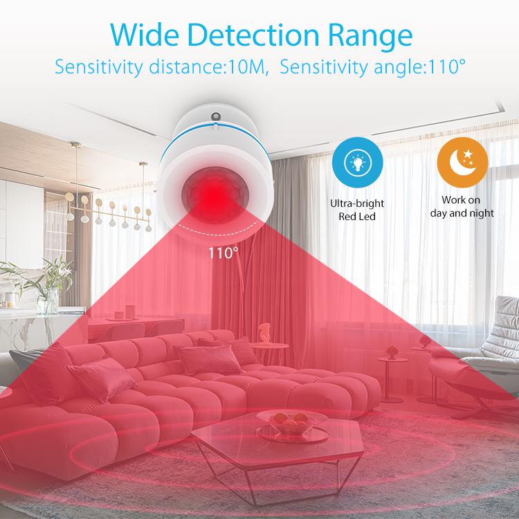 Motion_Detector_with722wss_5