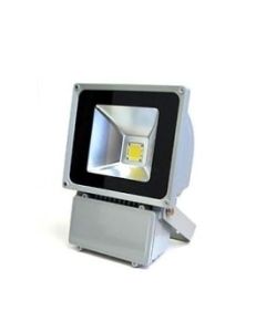 100W High Power LED Flood Light Waterproof Floodlight Spotlight Lamp