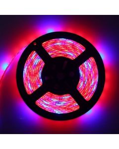 LED Grow light Full Spectrum 5M Strip 5050 For Greenhouse Hydroponic Plant Growing